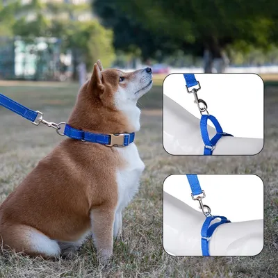 FurryFusion Collier en neoprène pour chiens de taille moyenne et grande