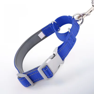 FurryFusion Collier en neoprène pour chiens de taille moyenne et grande