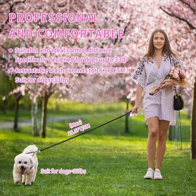ZooVenture Laisse Retractable Chien 5M Rose