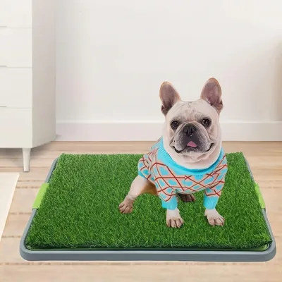 FurryFusion Pelouse artificielle pour chien FurryFusion Pelouse artificielle pour chien