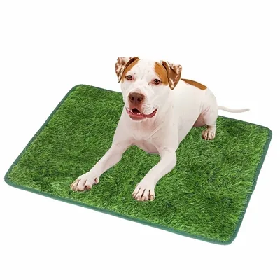 FurryFusion Pelouse artificielle pour chien FurryFusion Pelouse artificielle pour chien