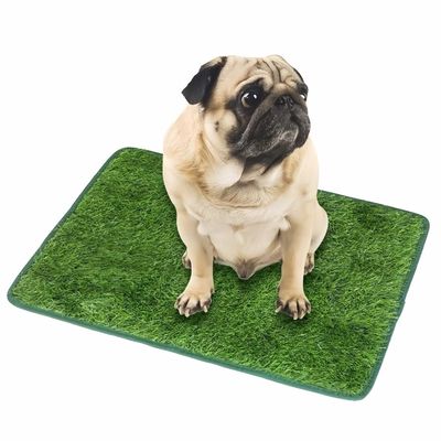 FurryFusion Pelouse artificielle pour chien