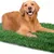 FurryFusion Pelouse artificielle pour chien FurryFusion Pelouse artificielle pour chien