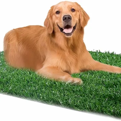 FurryFusion Pelouse artificielle pour chien FurryFusion Pelouse artificielle pour chien