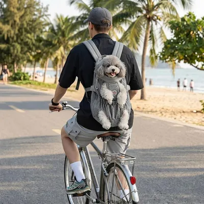 MCBOSON Sac à Dos Transport Chien Gris Argenté