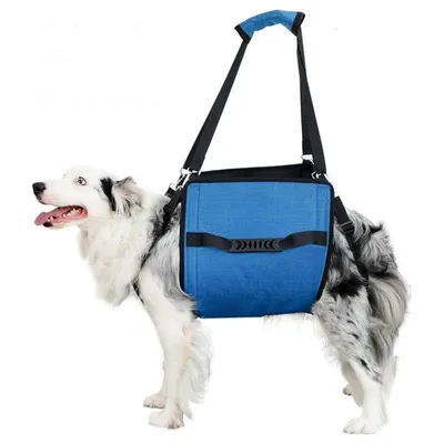 FurryFusion Harnais de réhabilitation pour chiens FurryFusion Harnais de réhabilitation pour chiens