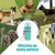 FurryFusion Recueilleur de excréments pour chien FurryFusion Recueilleur de excréments pour chien