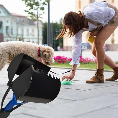 ZooVenture Pelle Dejectis Chien 60cm Bleu Antidérapant ZooVenture Pelle Dejectis Chien 60cm Bleu Antidérapant