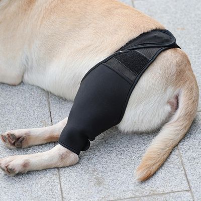 FurryFusion Protège - genoux et fixation pour pattes de chiens blessés