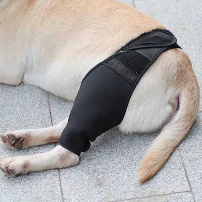 FurryFusion Protège - genoux et fixation pour pattes de chiens blessés FurryFusion Protège - genoux et fixation pour pattes de chiens blessés