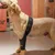 FurryFusion Protège - genoux et fixation pour pattes de chiens blessés FurryFusion Protège - genoux et fixation pour pattes de chiens blessés