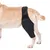 FurryFusion Protège - genoux et fixation pour pattes de chiens blessés FurryFusion Protège - genoux et fixation pour pattes de chiens blessés
