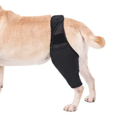 FurryFusion Protège - genoux et fixation pour pattes de chiens blessés FurryFusion Protège - genoux et fixation pour pattes de chiens blessés