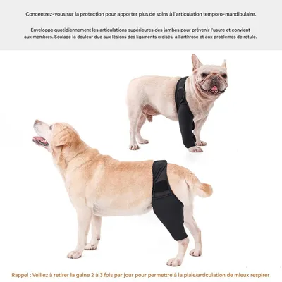 FurryFusion Protège - genoux et fixation pour pattes de chiens blessés FurryFusion Protège - genoux et fixation pour pattes de chiens blessés