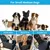 FurryFusion Housse de siège pour chien FurryFusion Housse de siège pour chien