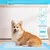 FurryFusion Nappe absorbante pour chien épaisse et déodorisante FurryFusion Nappe absorbante pour chien épaisse et déodorisante