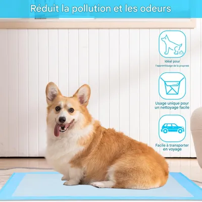FurryFusion Nappe absorbante pour chien épaisse et déodorisante FurryFusion Nappe absorbante pour chien épaisse et déodorisante