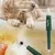 FurryFusion Stylo pour attraper les parasites d'animaux de compagnie FurryFusion Stylo pour attraper les parasites d'animaux de compagnie