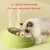 ZooVenture Gamelle Inclinée Chien - 500ml, Inox, Antidérapant