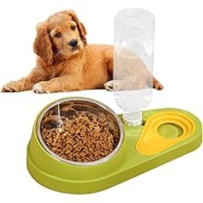 ZooVenture Gamelle Inclinée Chien - 500ml, Inox, Antidérapant