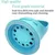 ZooVenture Bouteille Eau Chien Portable Anti-fuite ZooVenture Bouteille Eau Chien Portable Anti-fuite