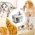 Automatic Cat Water Fontaine à eau pour chat en - 1.5L Ultra Quiet Pump Dog Automatic Cat Water Fontaine à eau pour chat en - 1.5L Ultra Quiet Pump Dog