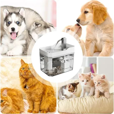 Automatic Cat Water Fontaine à eau pour chat en - 1.5L Ultra Quiet Pump Dog Automatic Cat Water Fontaine à eau pour chat en - 1.5L Ultra Quiet Pump Dog