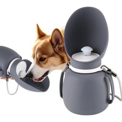 ZooVenture Bouteille Eau Chien Silicone 800ml Portable