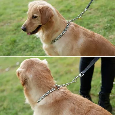 MCBOSON 45cm Dressage Chaîne Fer Solide Collier Étrangleur Chien MCBOSON 45cm Dressage Chaîne Fer Solide Collier Étrangleur Chien