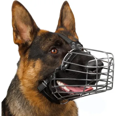 Zoomtopia Muselière métal XL chien taille XL berger allemand Zoomtopia Muselière métal XL chien taille XL berger allemand