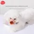 HausPets Gag anti - aboiement pour petits chiens