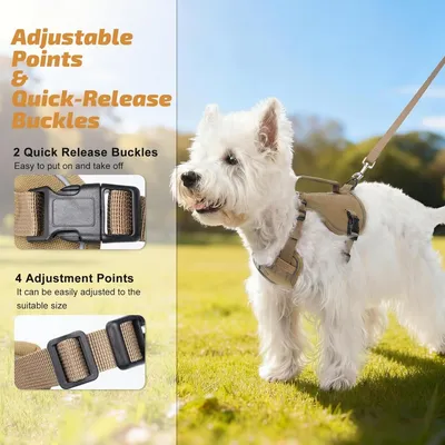 MCBOSON Verstellbares reflektierendes Hundegeschirr+Leine, khaki XXS MCBOSON Verstellbares reflektierendes Hundegeschirr+Leine, khaki XXS