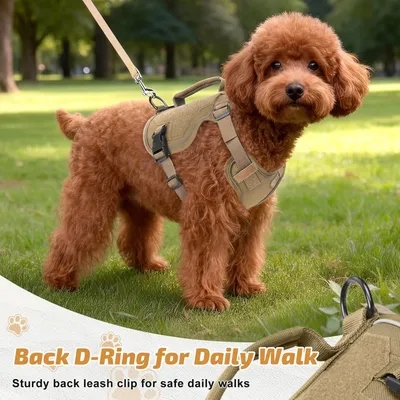 MCBOSON Verstellbares reflektierendes Hundegeschirr+Leine, khaki XXS MCBOSON Verstellbares reflektierendes Hundegeschirr+Leine, khaki XXS