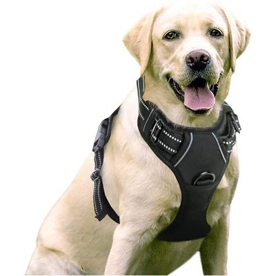 PetTribes Harnais Anti-Traction Chien L - Réfléchissant