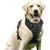 PetTribes Harnais Anti-Traction Chien L - Réfléchissant PetTribes Harnais Anti-Traction Chien L - Réfléchissant