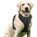 PetTribes Harnais Anti-Traction Chien L - Réfléchissant