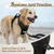 PetTribes Harnais Anti-Traction Chien L - Réfléchissant PetTribes Harnais Anti-Traction Chien L - Réfléchissant