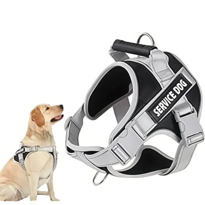 ZooVenture Laisse Reflecteur Chat Chien - Réglable, Respirant
