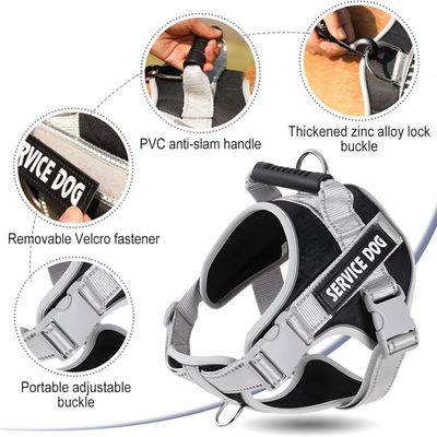 ZooVenture Laisse Reflecteur Chat Chien - Réglable, Respirant