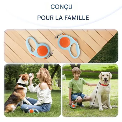 FurryFusion Laisse rétractable pour chiens FurryFusion Laisse rétractable pour chiens