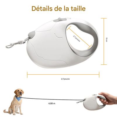 FurryFusion Laisse rétractable pour chiens