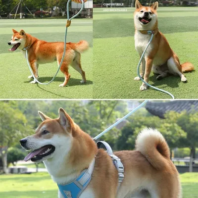 FurryFusion-Kabel für mittelgroße bis große Hunde