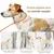 FurryFusion Hundeleine mit integriertem Halsband FurryFusion Hundeleine mit integriertem Halsband
