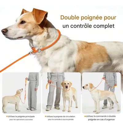 FurryFusion Hundeleine mit integriertem Halsband FurryFusion Hundeleine mit integriertem Halsband