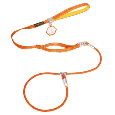 FurryFusion Hundeleine mit integriertem Halsband FurryFusion Hundeleine mit integriertem Halsband