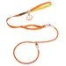 FurryFusion Hundeleine mit integriertem Halsband