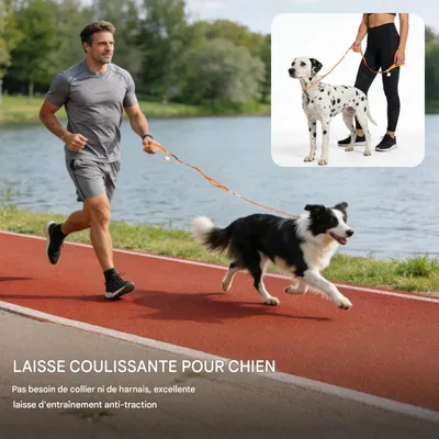 FurryFusion Hundeleine mit integriertem Halsband FurryFusion Hundeleine mit integriertem Halsband