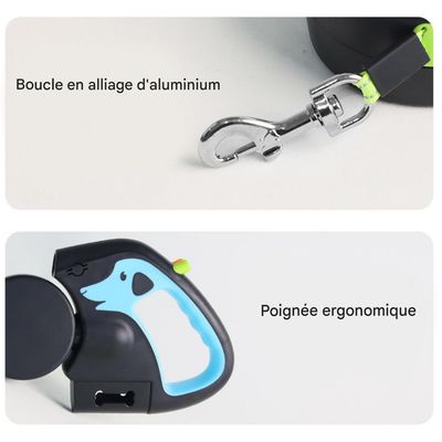 FurryFusion Laisse extensible pour deux chiens
