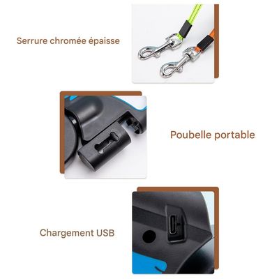 FurryFusion Laisse extensible pour deux chiens