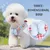PetTribes Harnais Anti-Tirage Chien avec Noeud Papillon M PetTribes Harnais Anti-Tirage Chien avec Noeud Papillon M